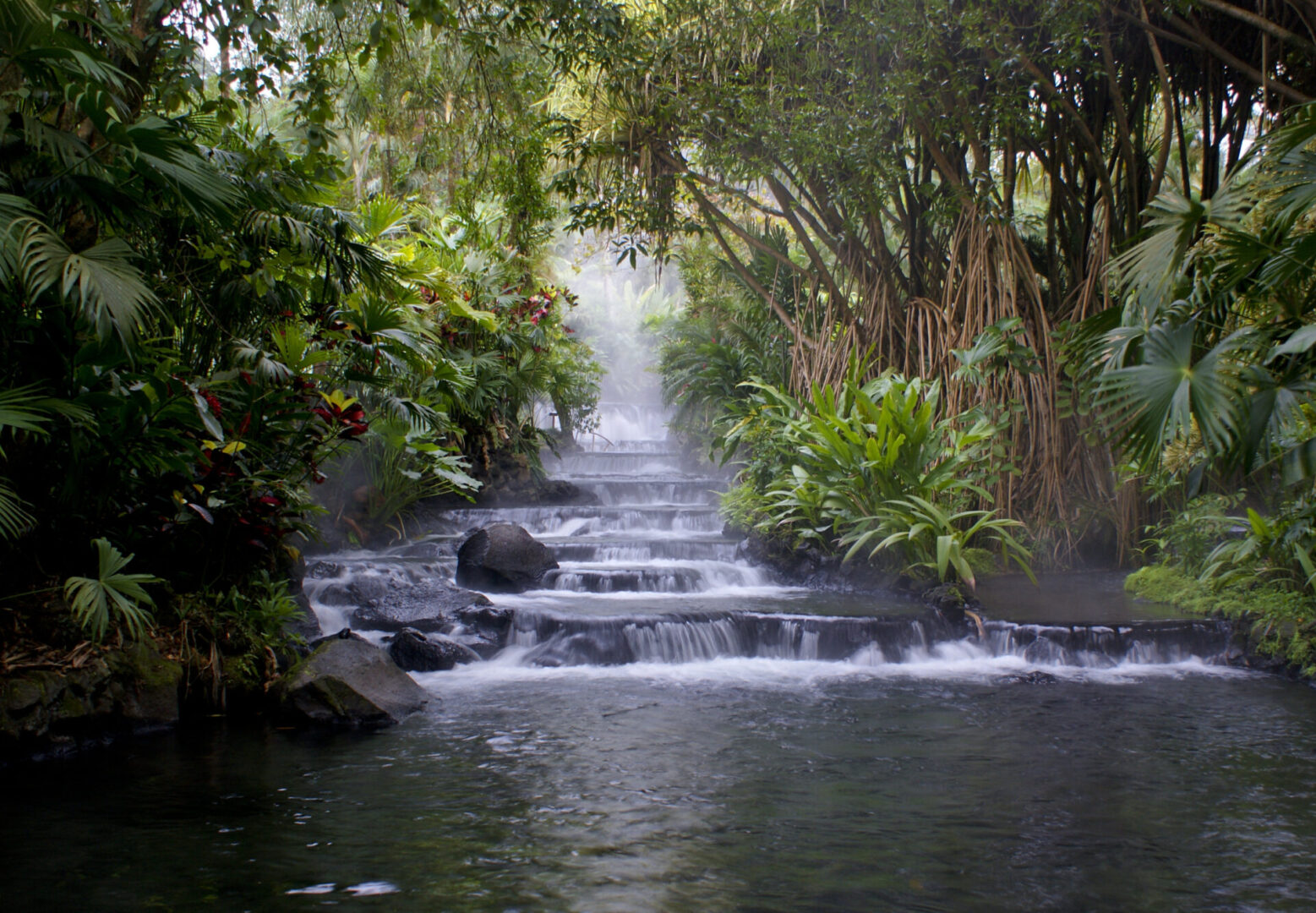 A waterfall in the middle of a forest.